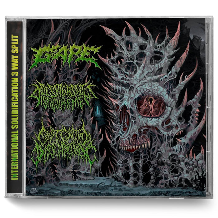 V/A "International Solidification" Split CD - Miasma Records